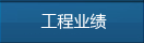 工程業(yè)績(jì)
